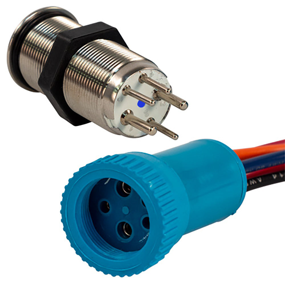 Bluewater 19mm Push Button Switch OffOnOn Contact BlueGreenRed LED 4 Lead 905731134