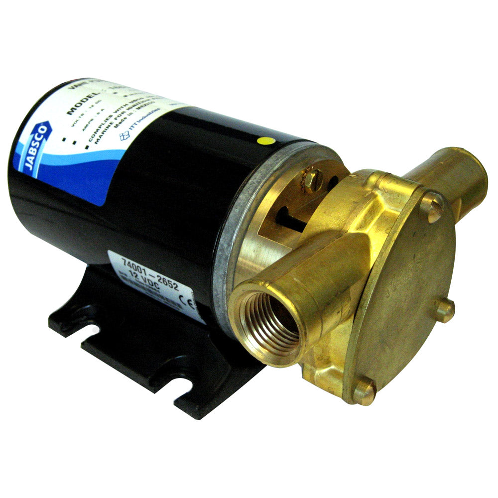 Light Duty Vane Transfer Pump - 12V