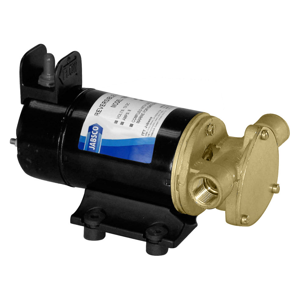 Light Duty Reversible Diesel Transfer Pump